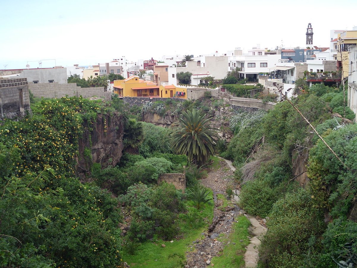 Buenavista del Norte