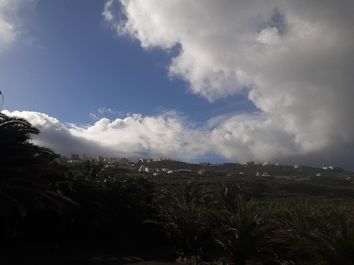 San Andrés y Sauces