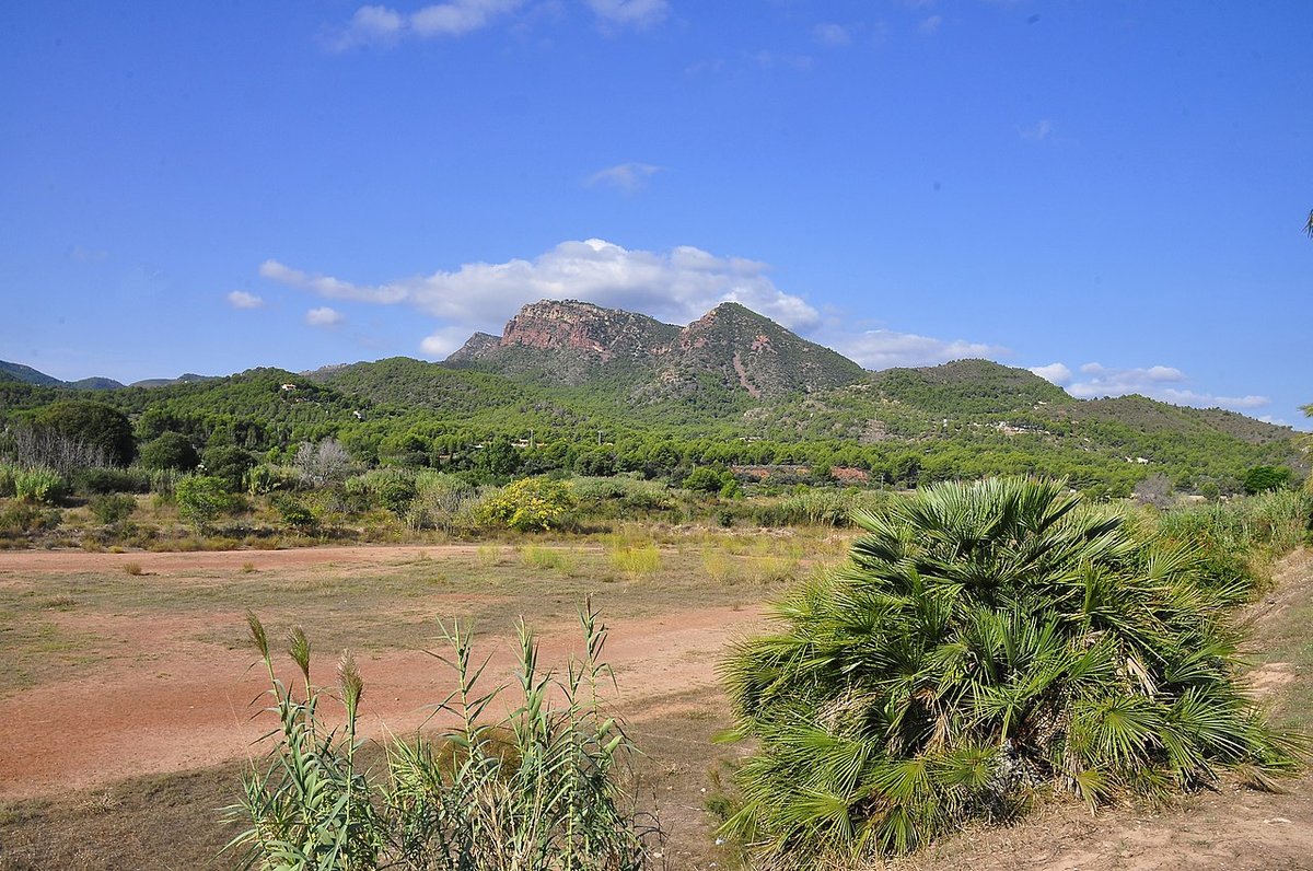 Albalat dels Tarongers