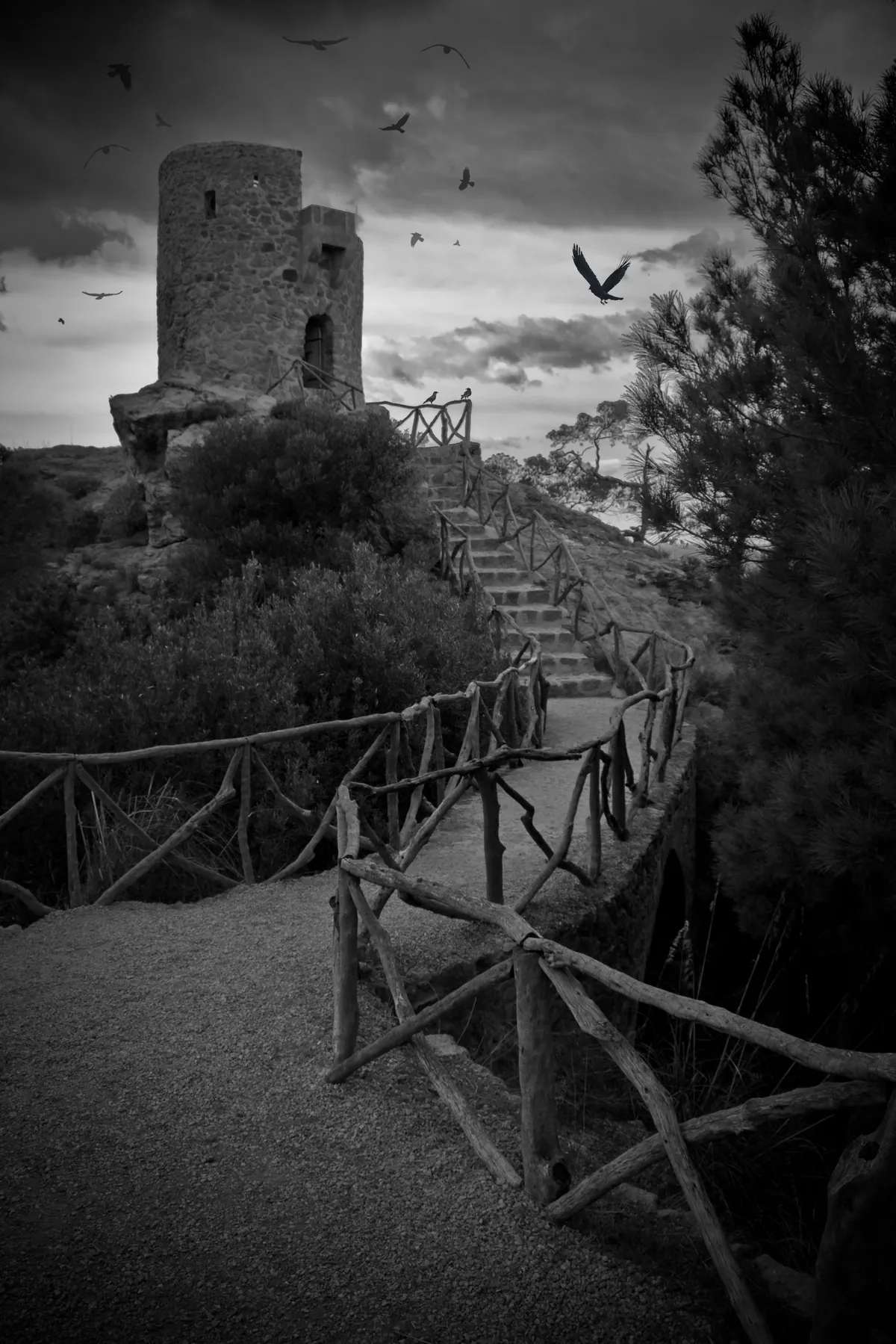 Mirador de Ses Animes