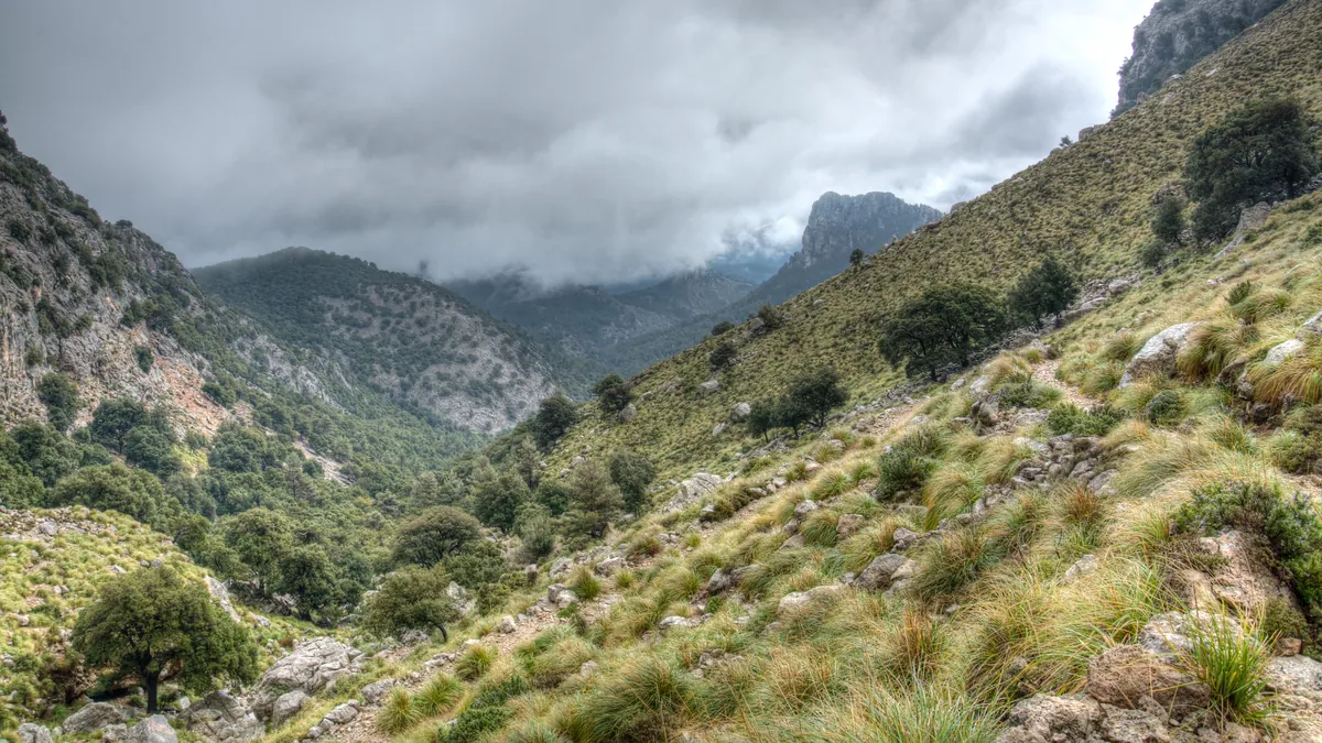 Torrent de Coma Freda