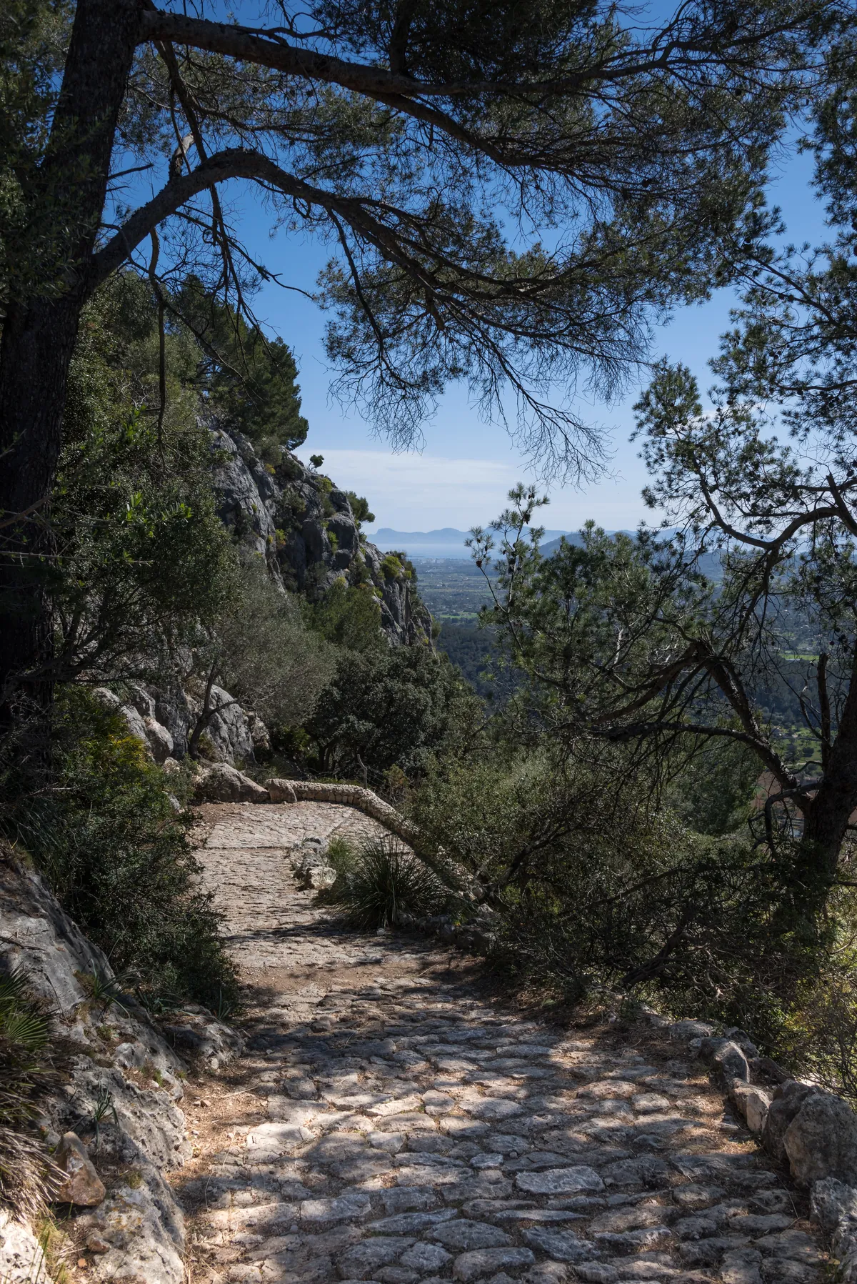 Puig de Maria - Trail