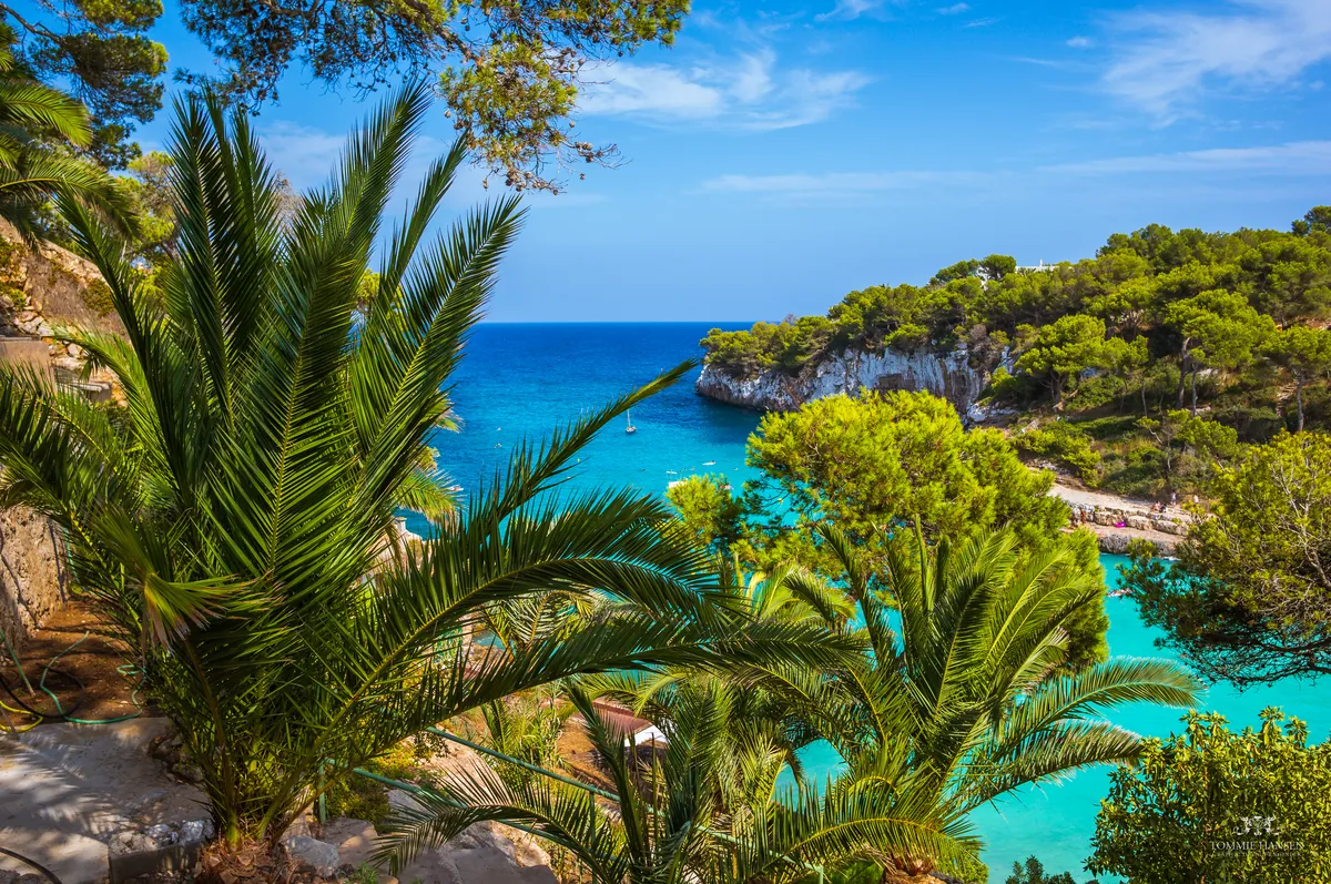 Palms and look down Cala Llombards bay