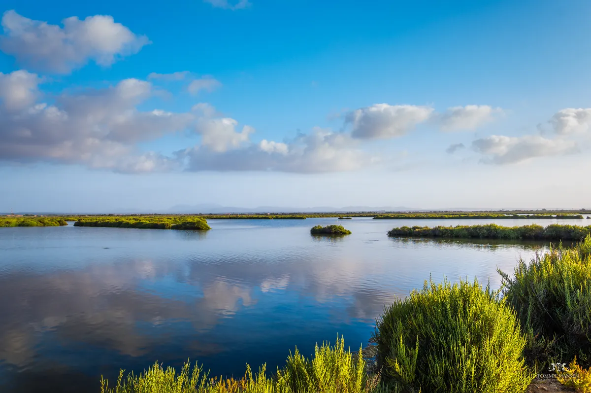 Salt place in Ses Saliens