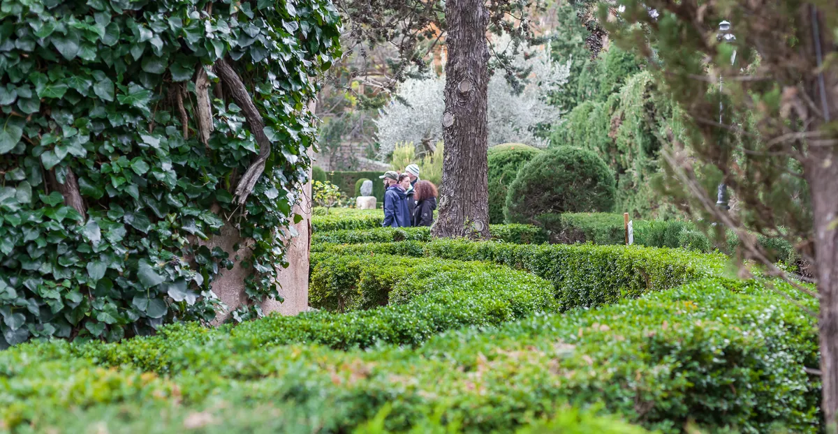 20170102-142058-_MG_4122