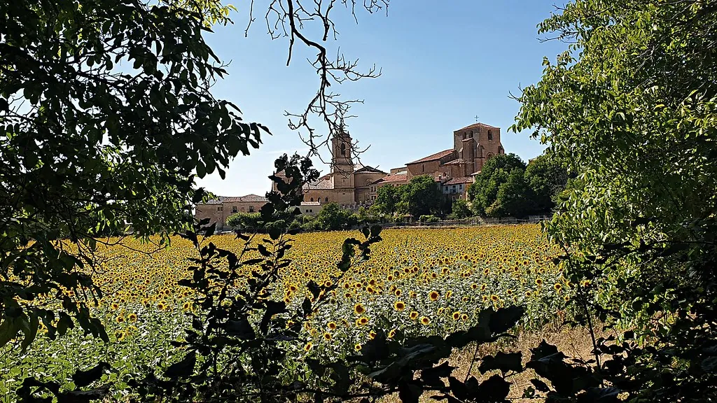 Santo Domingo de Silos