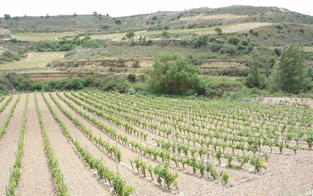 Baños de Rioja
