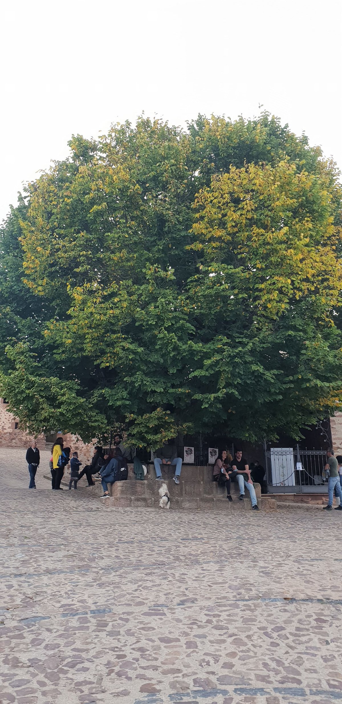 Rasillo de Cameros (El)