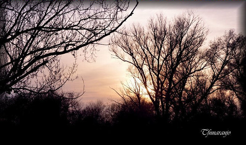 Paracuellos de Jarama