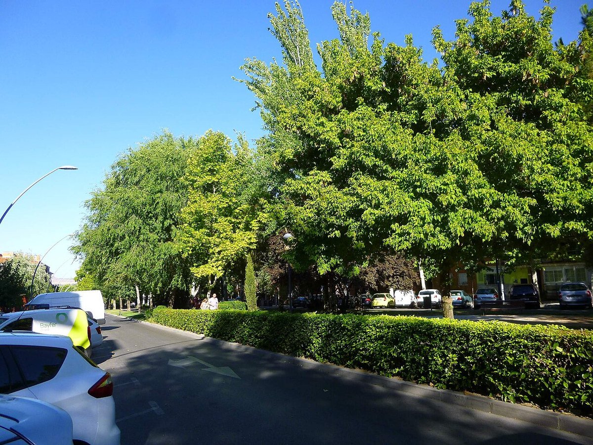 San Fernando de Henares