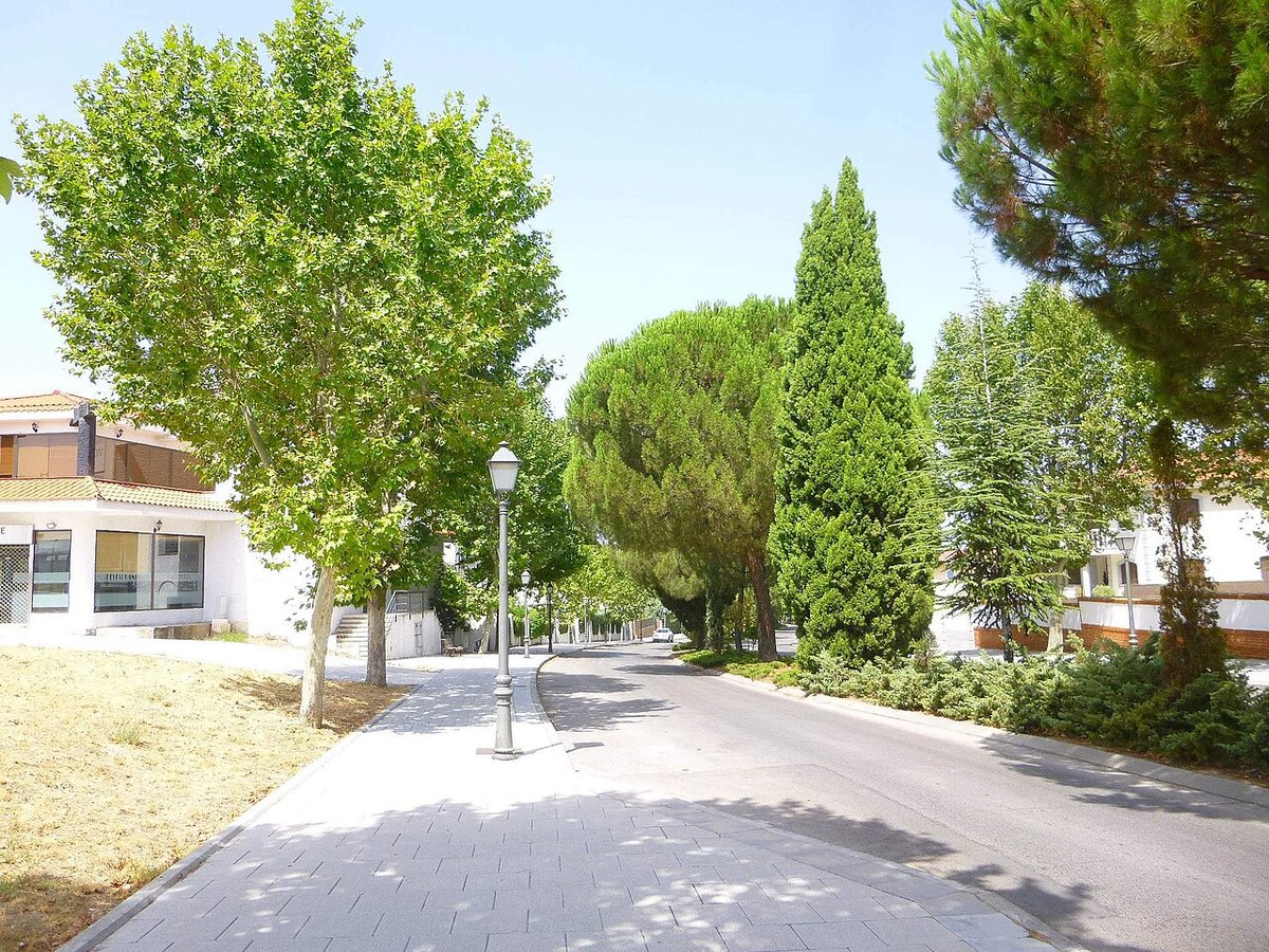 Villaviciosa de Odón